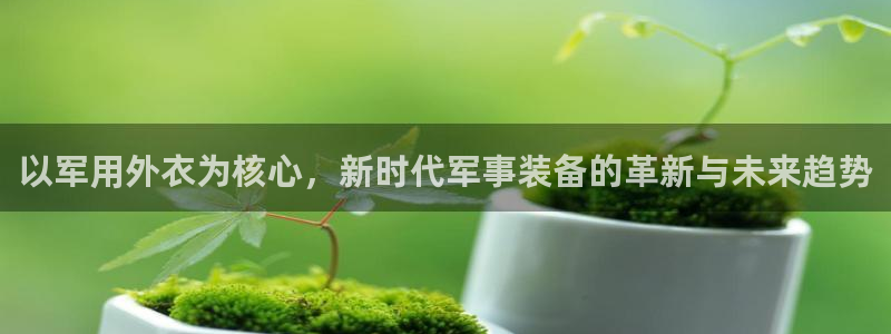 新宝gg平台开发