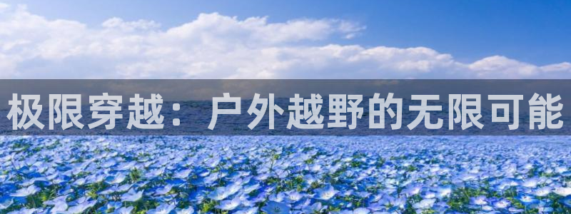 新宝gg — 创造!