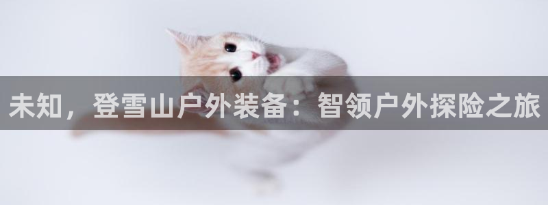 新宝gg创造奇迹平台