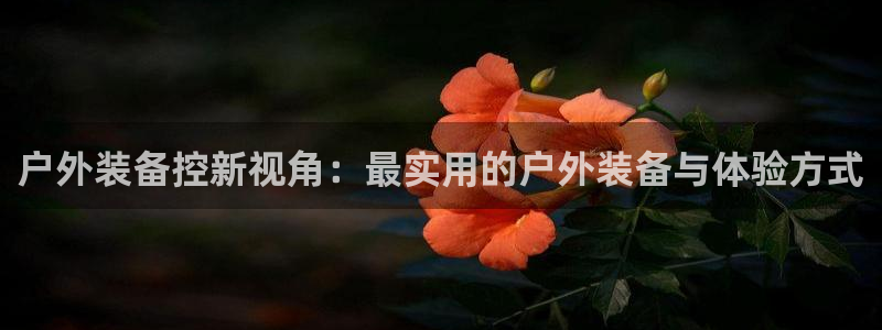 新宝gg手机注册官网